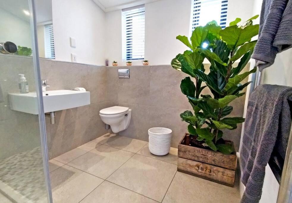 Central Modern Studio Apartment, Hermanus Waterfront Eksteriør bilde